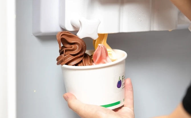 Floor Standing Soft Serve Ice Cream & Açai Machines